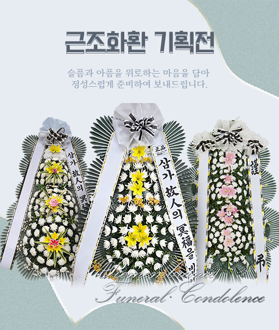 기획전 이미지