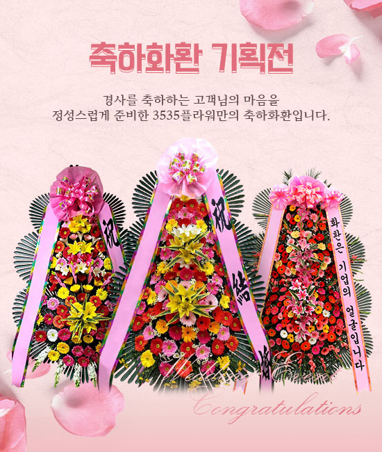 기획전 이미지