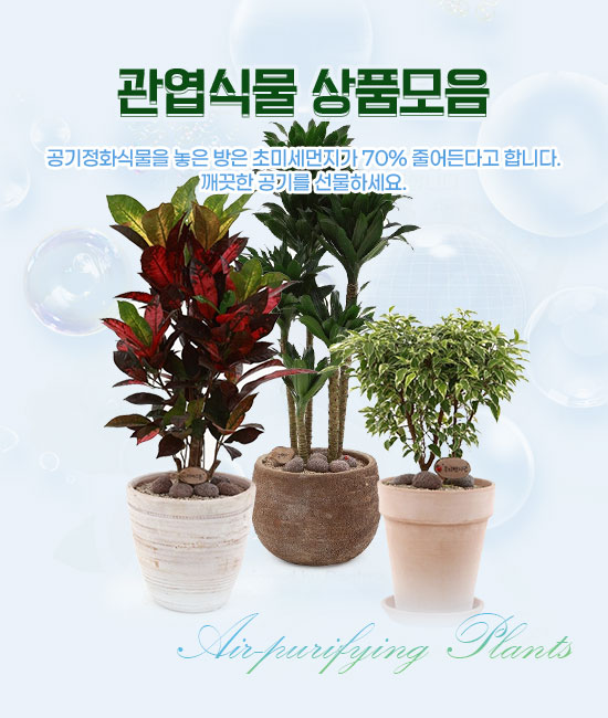 기획전 이미지