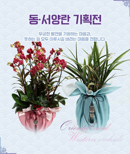 기획전 이미지
