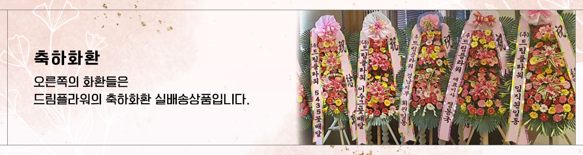 축하화환 실배송상품 사진
