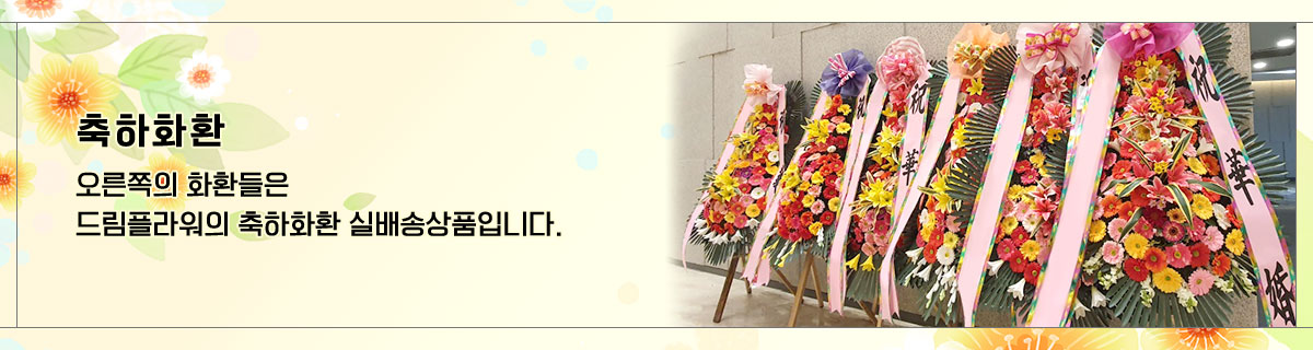 축하화환