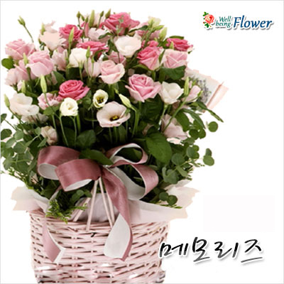 메모리즈