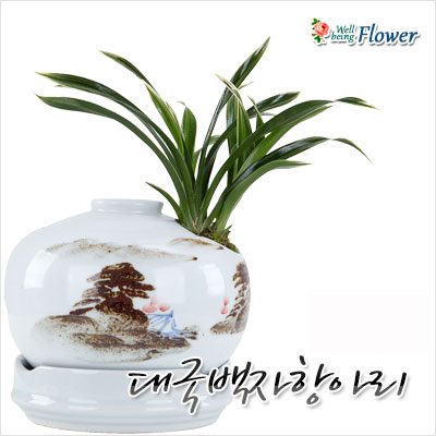 대국백자항아리(미니)