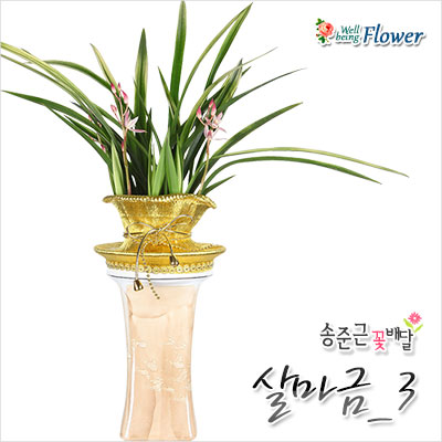 살마금_3