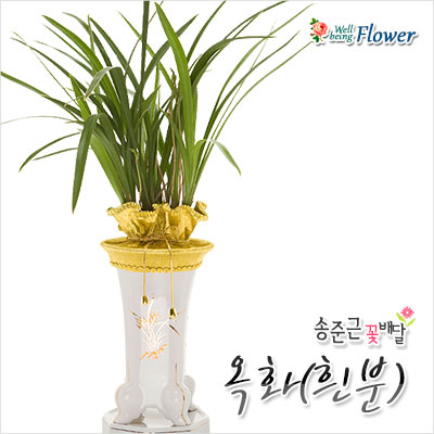 옥화(흰분)