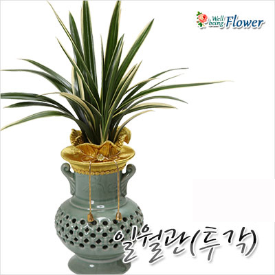 일월관(명품투각 도자기)