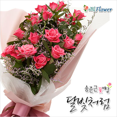 달빛처럼