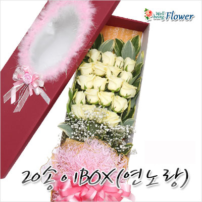 20송이BOX(연노랑)