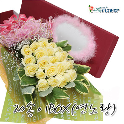 20송이BOX(연노랑)_2