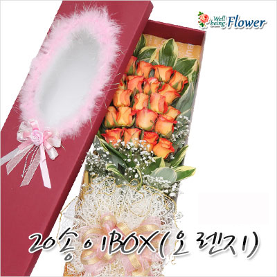 20송이BOX(오렌지)_2