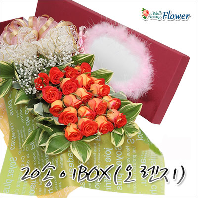 20송이BOX(오렌지)