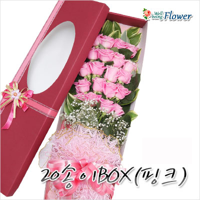20송이BOX(핑크)