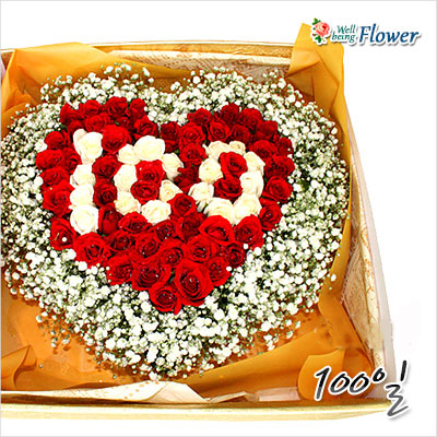 100일(100송이)