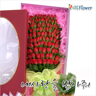 내사랑을 받아줘(100송이)
