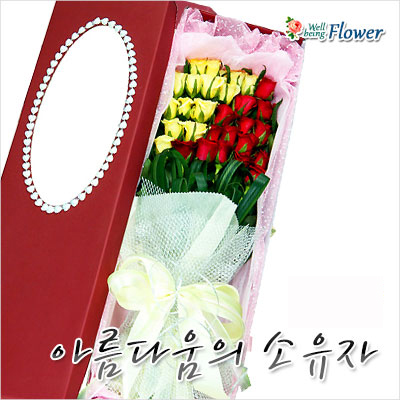 아름다움의 소유자