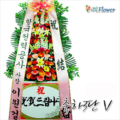 축하3단 Ⅴ
