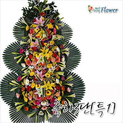 축하3단[특1]