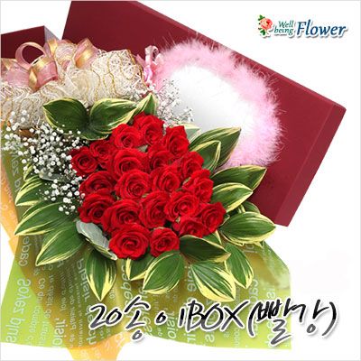 20송이BOX(빨강)