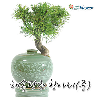 해송당초 항아리(중)