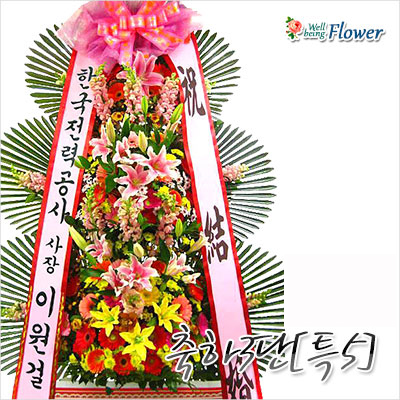 축하3단[특5]