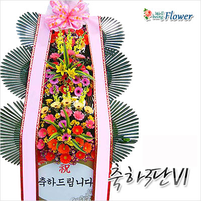 축하3단Ⅵ