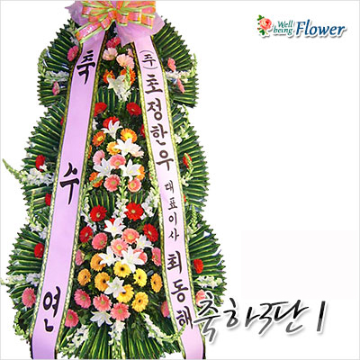 축하3단[파격특가]