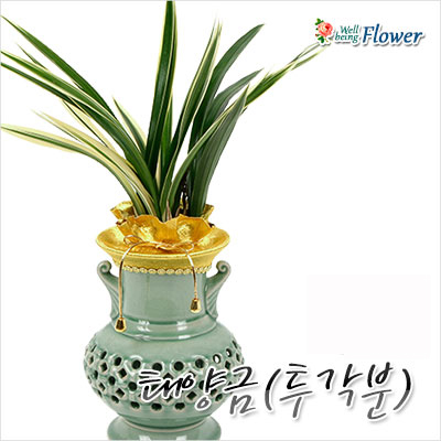 [신상품]태양금(투각분)