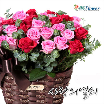 사랑의열쇠