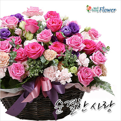 순결한사랑