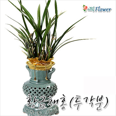 황금채홍(투각분)