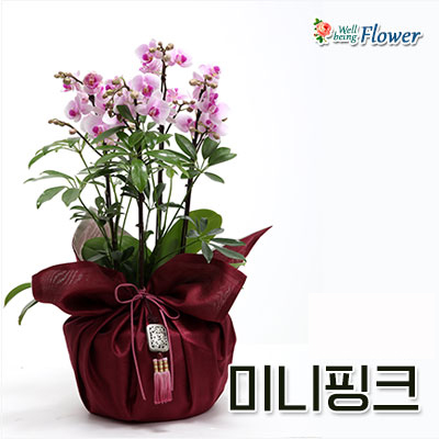 미니핑크