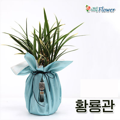 황룡관