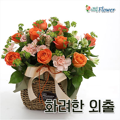 화려한 외출