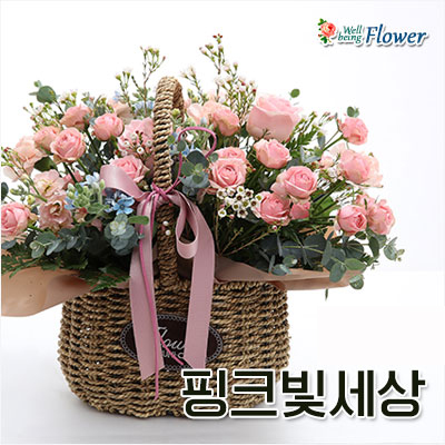 핑크빛세상