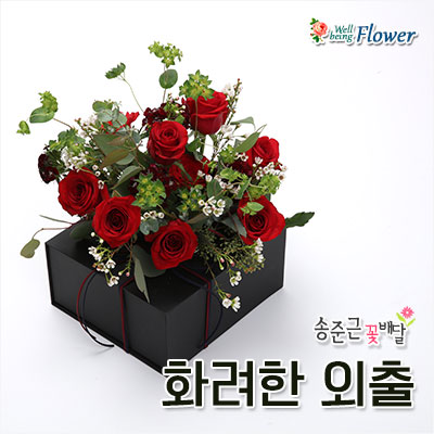 화려한 외출