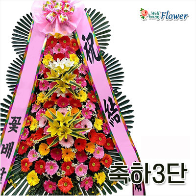 축하3단_신상품