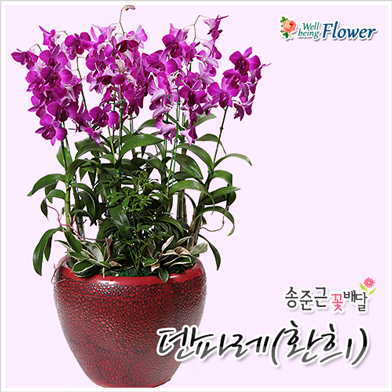 덴파레(환희)