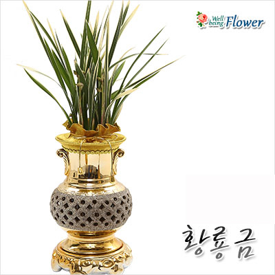 황룡금