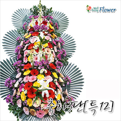 축하3단[특12]
